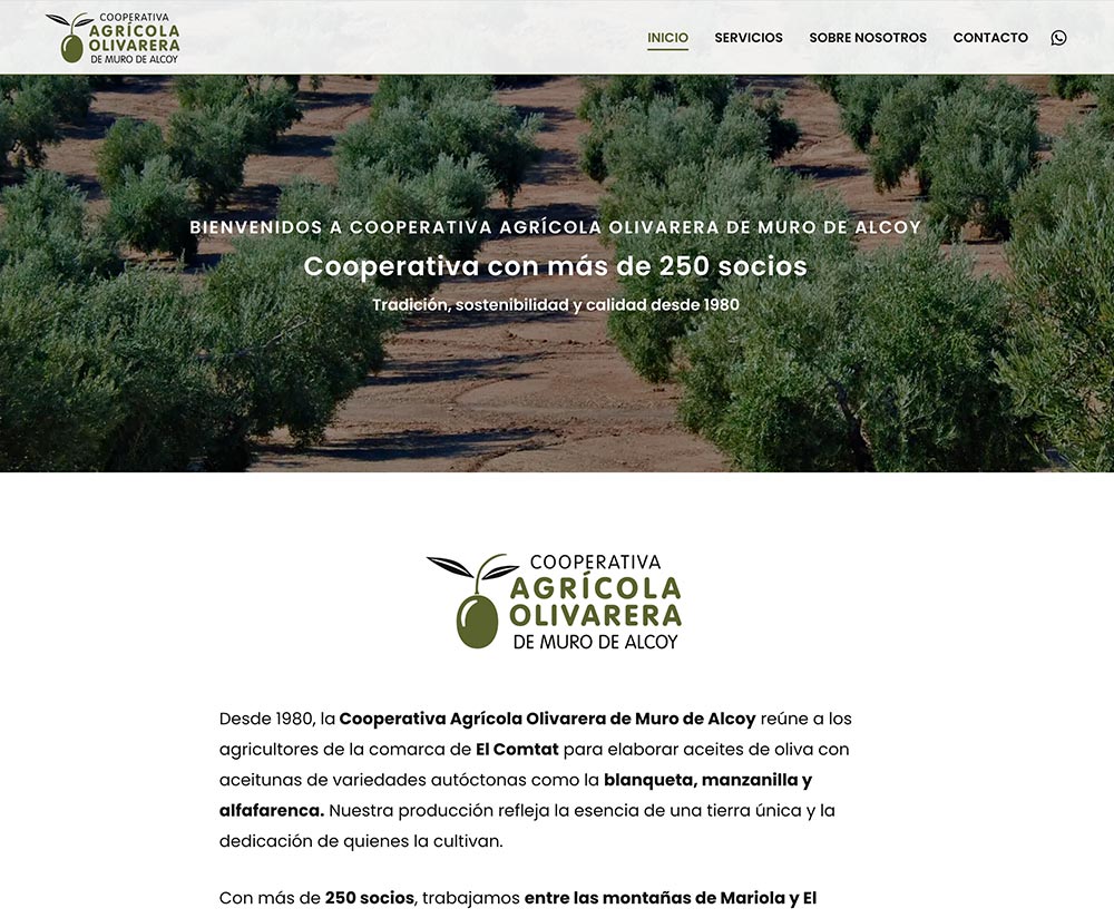 cooperativa olivarera muro alcoy